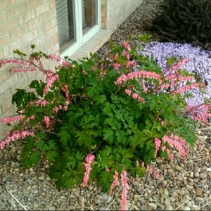 Meet your Posher, Sherri